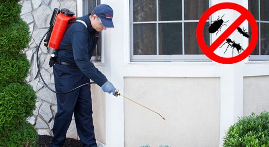 Çifteler Kene İlaçlama böcek ilaçlama ve haşere kontrolü — ilaclama-tr.com